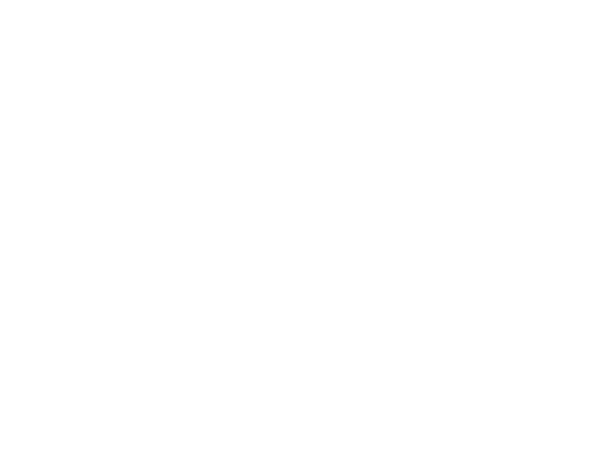 V-POSTS Redefining Fencing